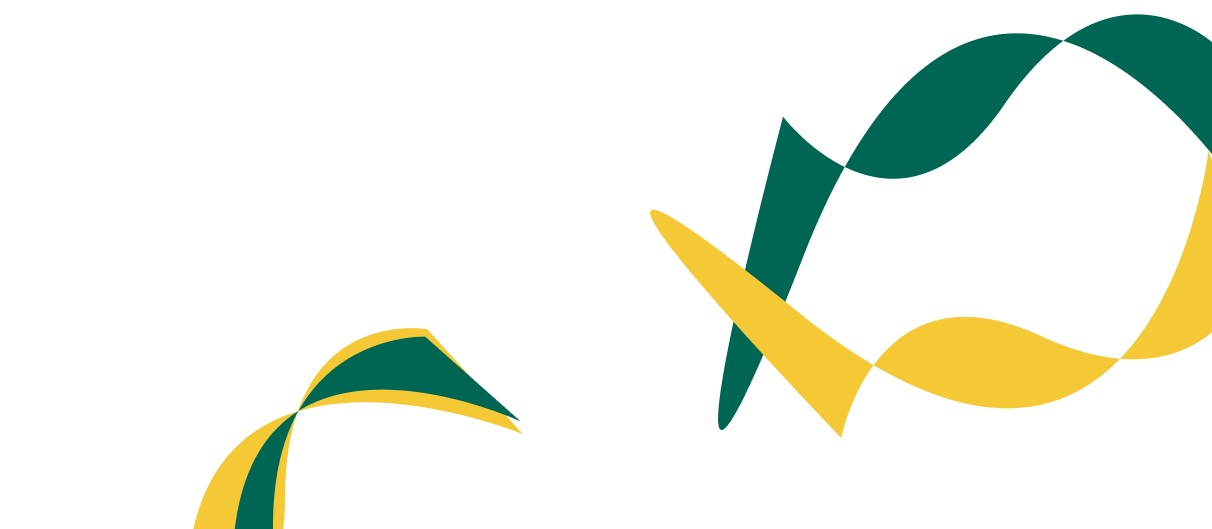 Expert Solutions for Corporate  Financial Success. - 开云体育APP